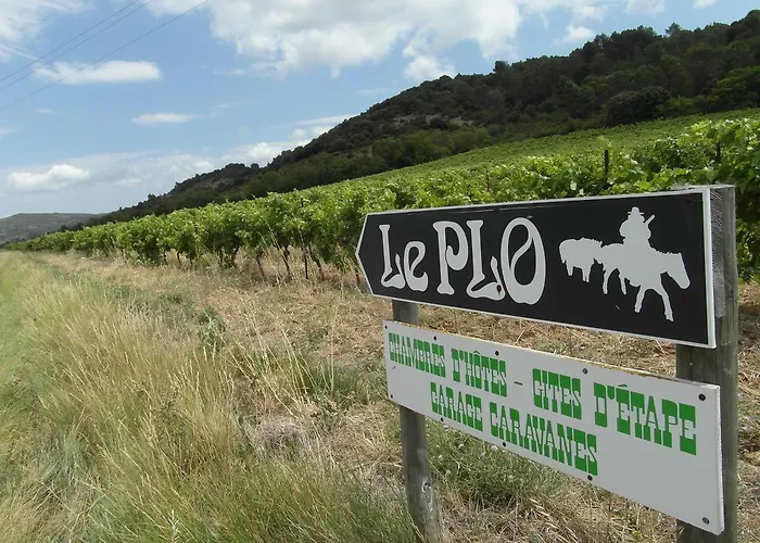 Bergerie Du Plo