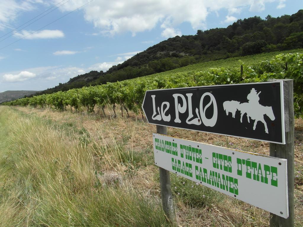 Bergerie Du Plo Montlaur (Aude)