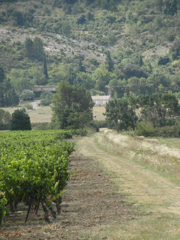 Holiday home Bergerie Du Plo Montlaur (Aude)