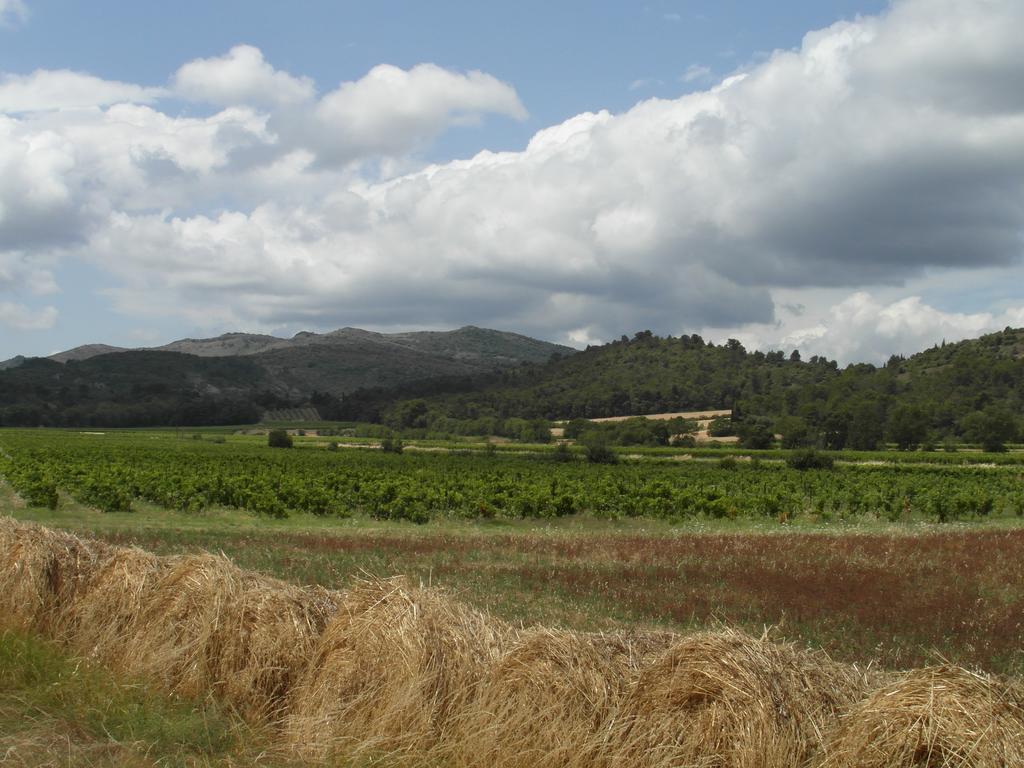 Bergerie Du Plo